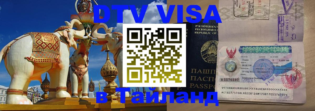 Сколько стоит DTV виза — актуальные цены, оформление даже без документов - Димитровград  18.11.2025 